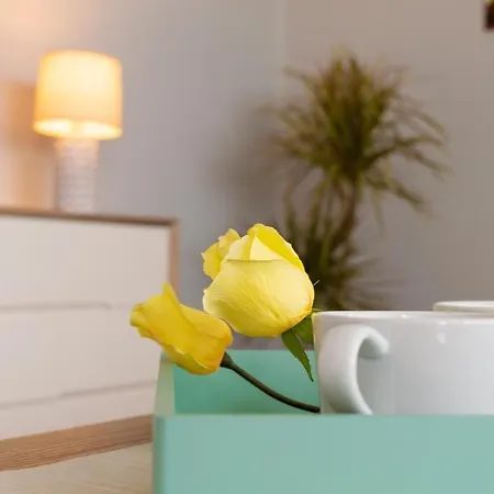 Maribel Pocillos Villa *