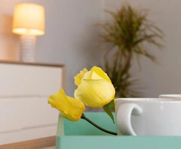 Maribel Pocillos Villa *